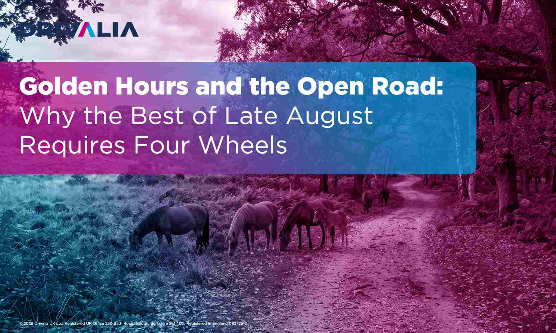 Golden Hours and the Open Road - Why the Best of Late August Requires Four Wheels